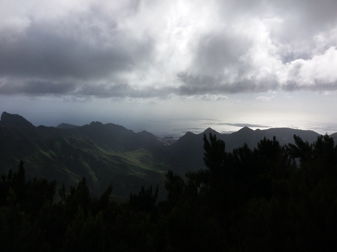Sendero El Bosque Encantado景点图片