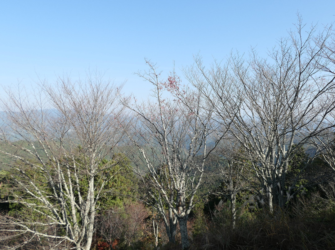 Mt. Takagi-吉野町必去景点
