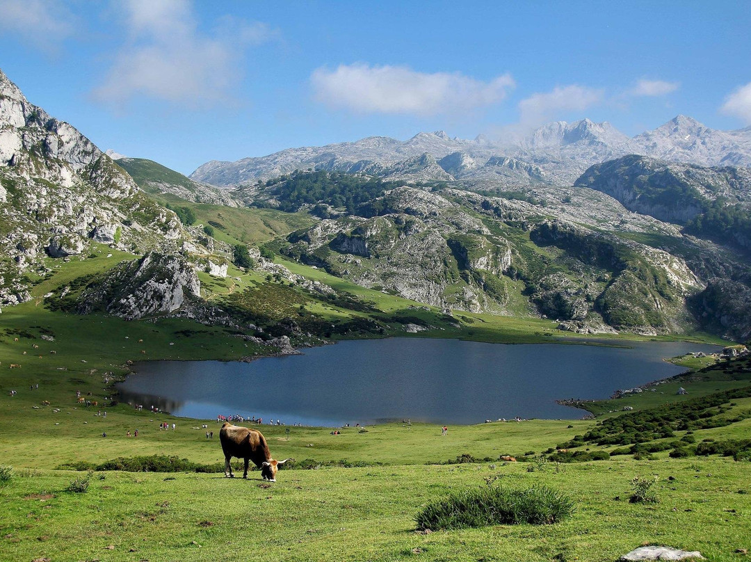 Primitive Ways Asturias景点图片