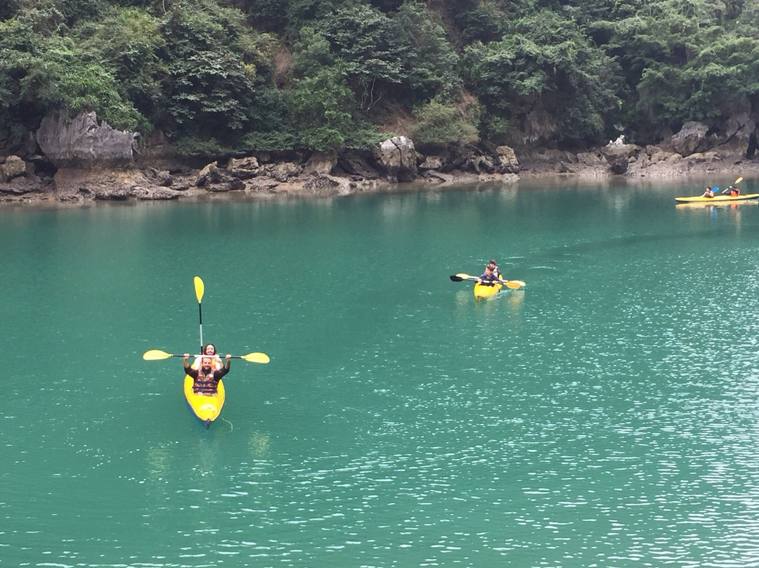 Alibaba's Hotel主图