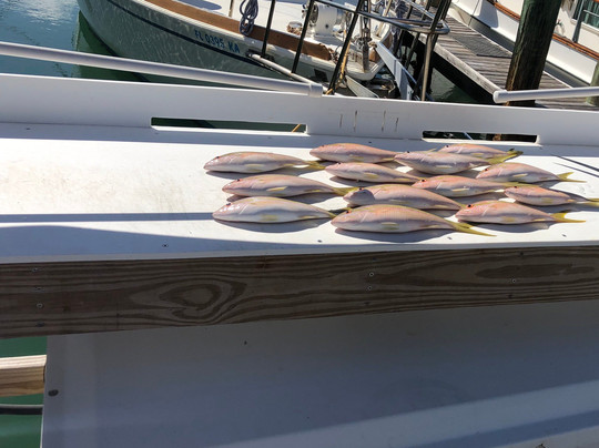 Capt. JJ's Charters-马拉松必去景点