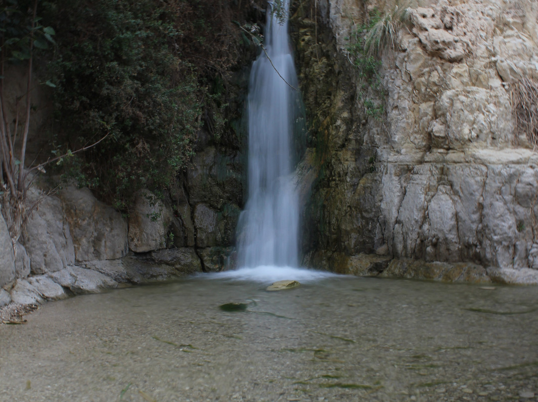 En Gedi Nature Reserve-死海地区必去景点