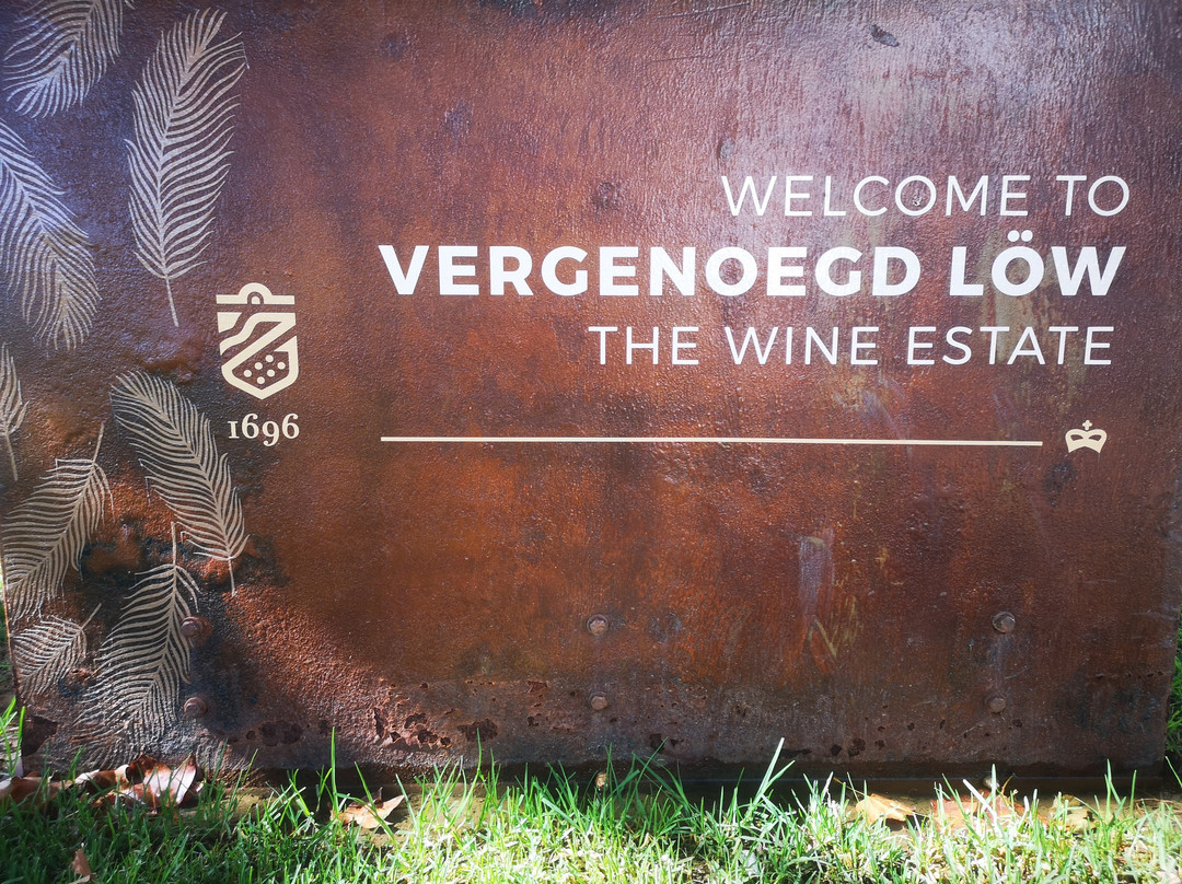Vergenoegd Low Wine Estate-斯泰伦博斯必去景点