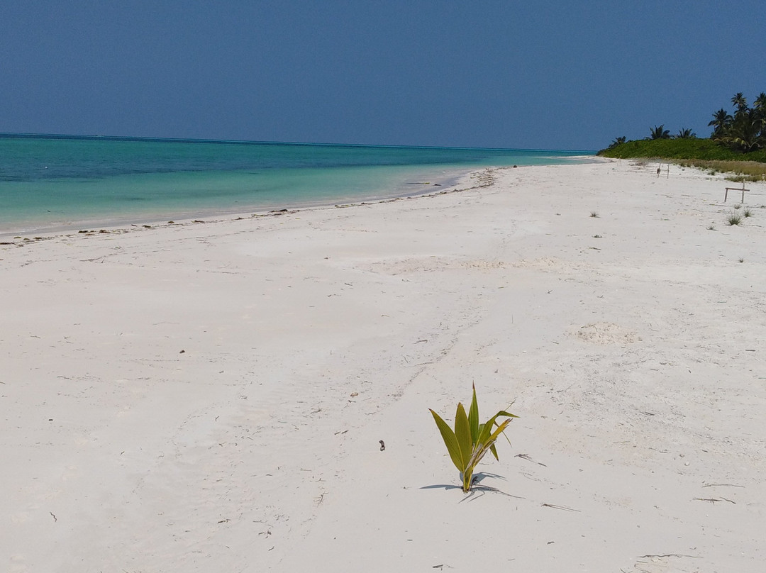 Island of Thinnakara-Agatti必去景点