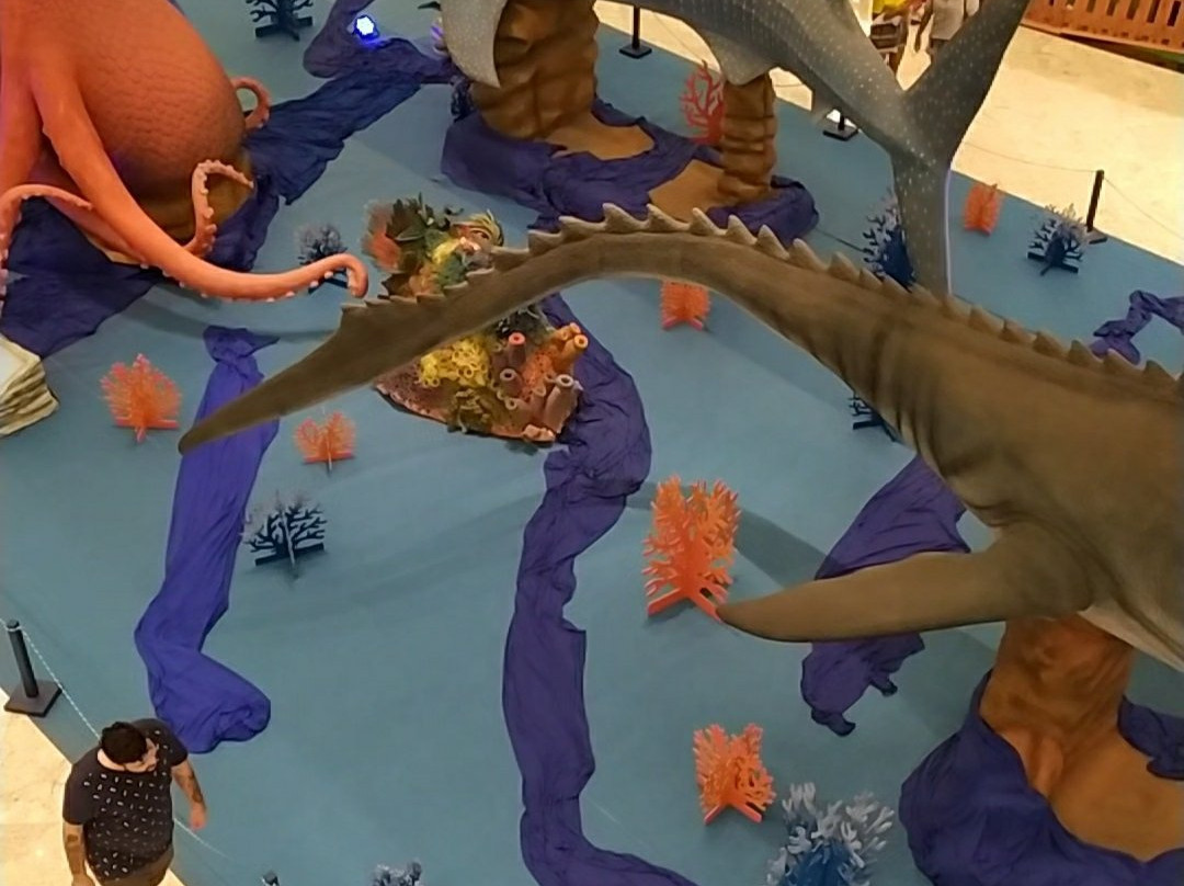 Shopping Bosque Grao Para-贝伦必去景点