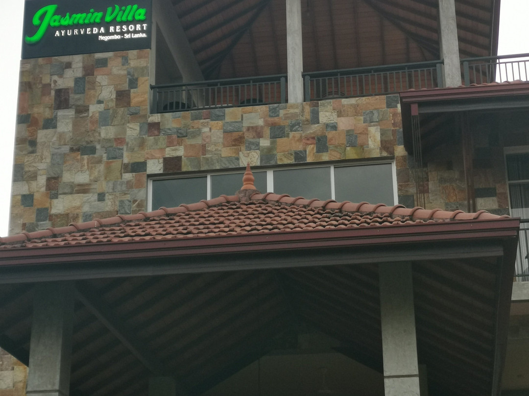 Jasmin Villa Ayurvedic Resort - Day Spa景点图片