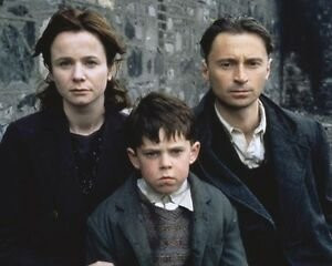 Limerick City Walking Tours-利默里克必去景点