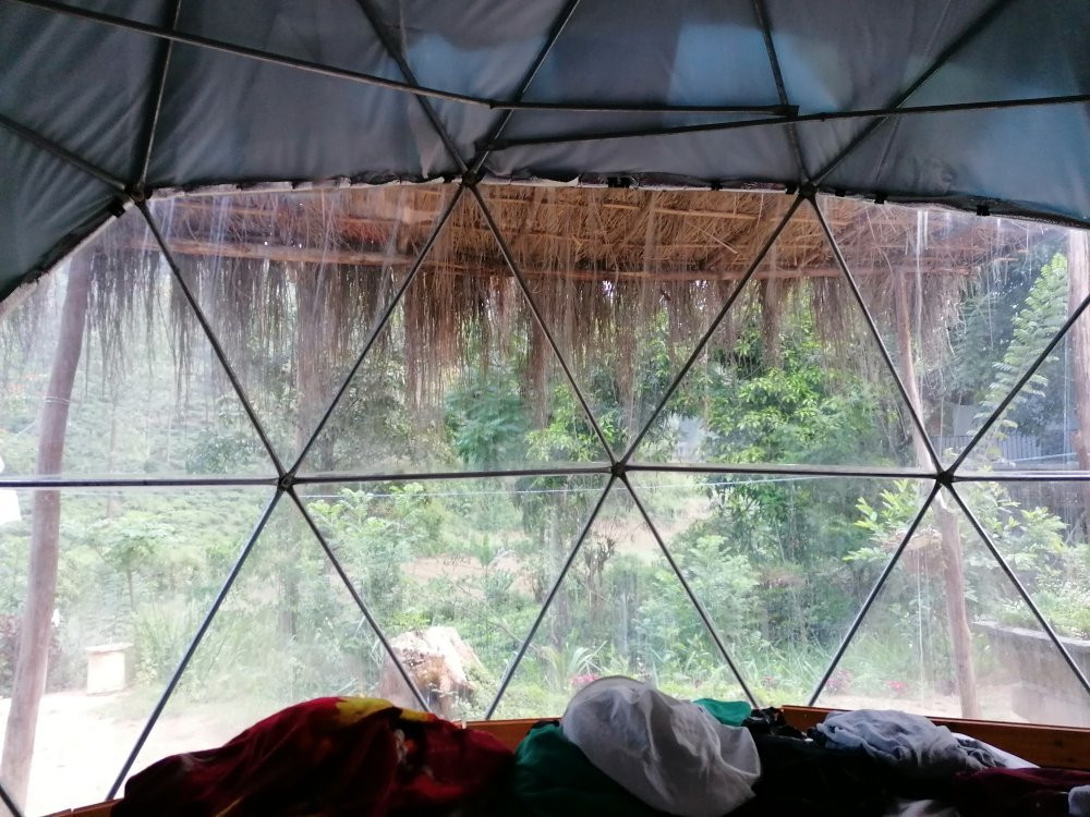 Ella Eco Domes主图