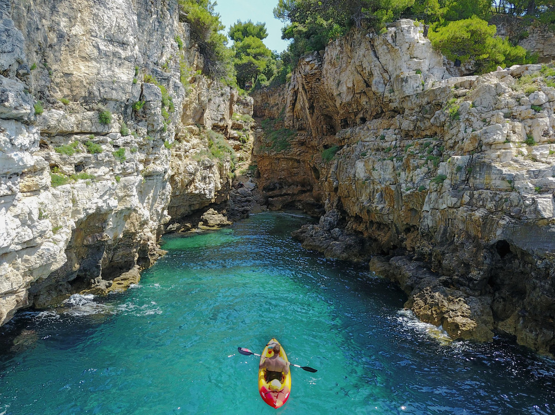 IM Multi Sports Club