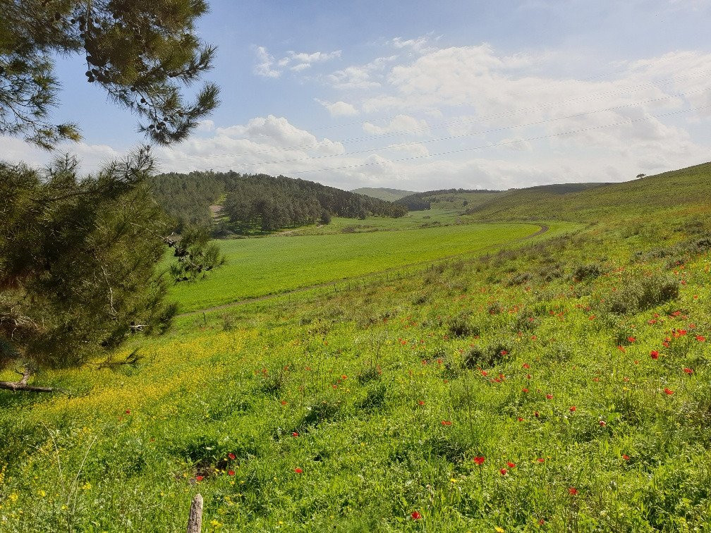 Giv'at HaRakafot-Ramot Menashe必去景点