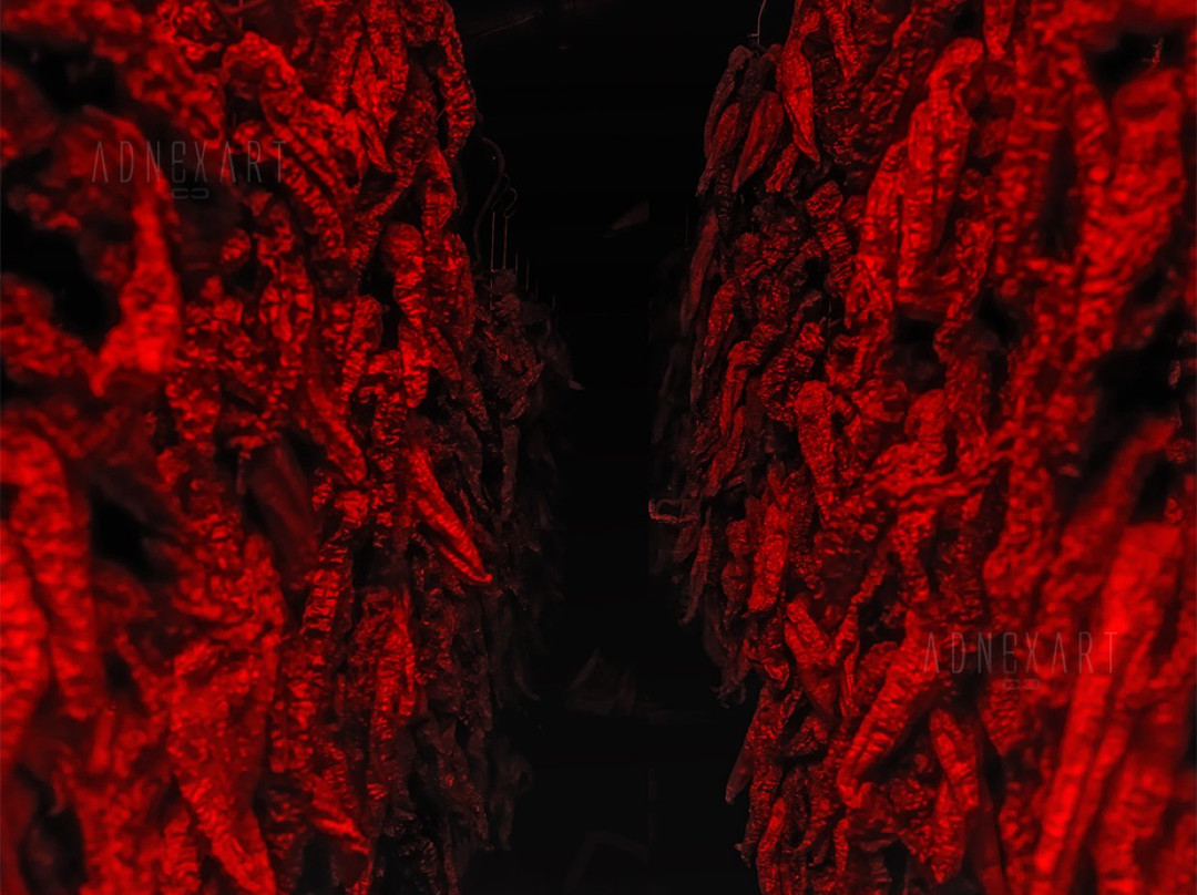 Santa Caterina Albanese旅游攻略图片