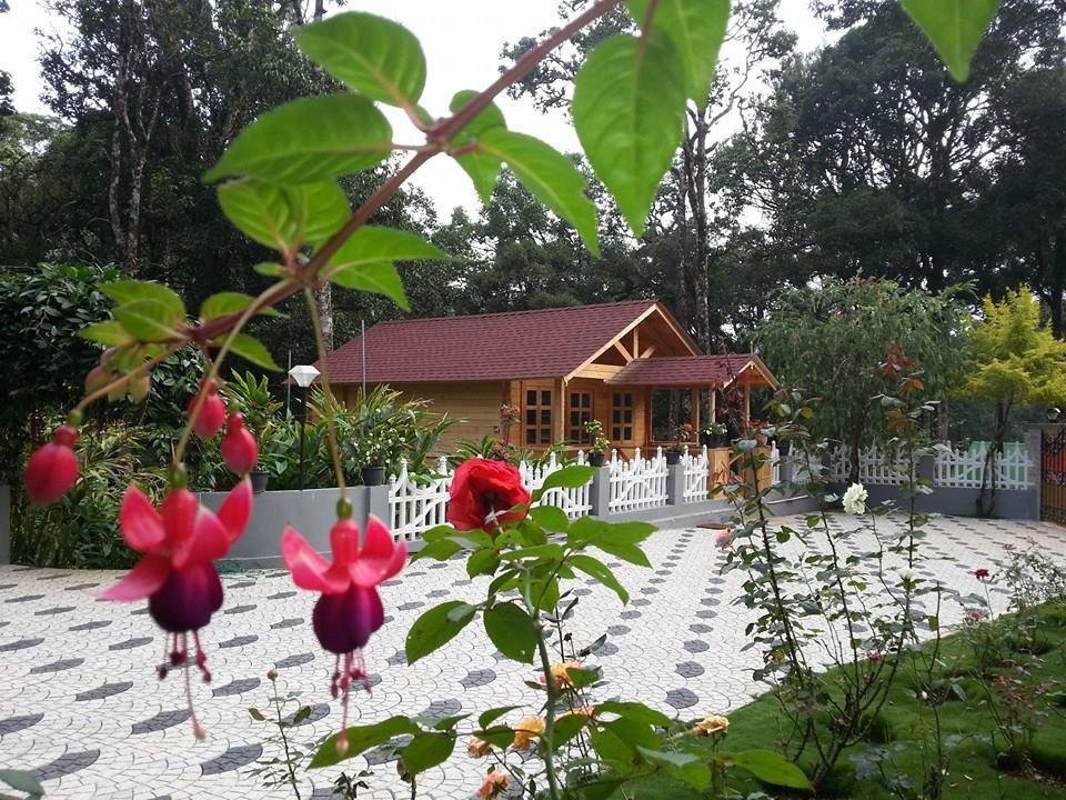 Rainforest Munnar Resort主图