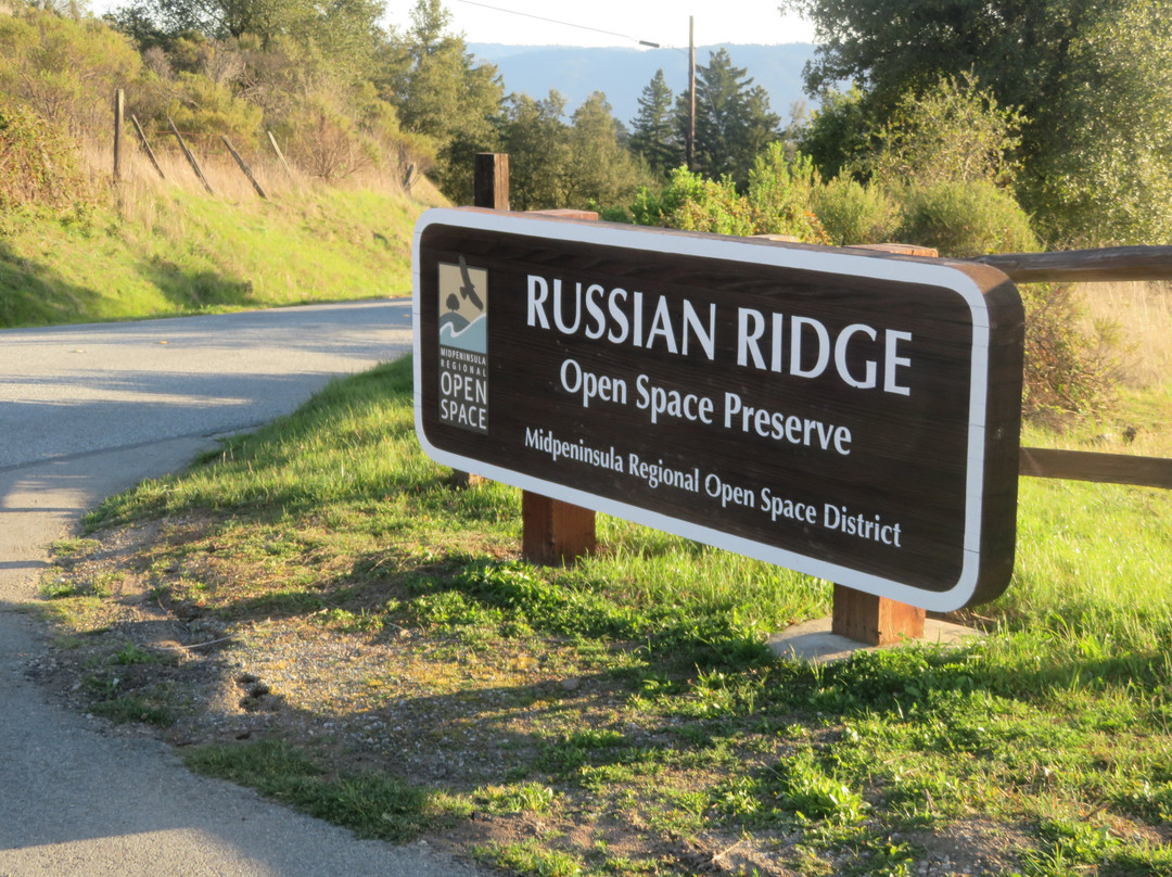 Russian Ridge Open Space Preserve景点图片