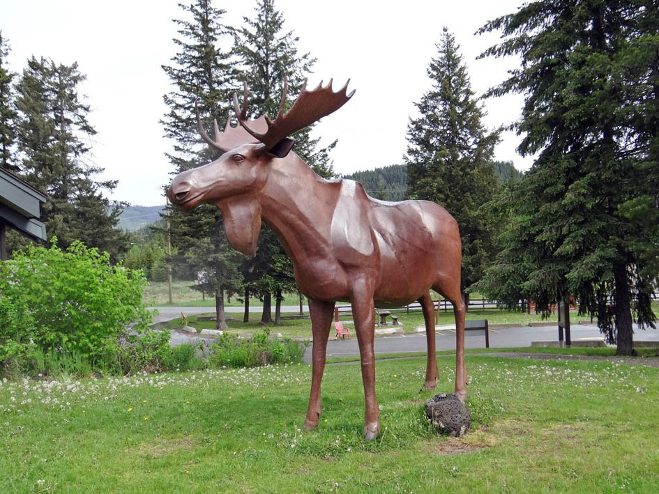 Wells Gray Provincial Park景点图片