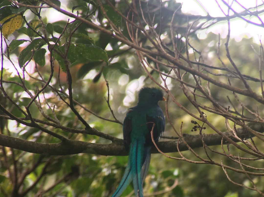 Costa Rica Wáköö Tours-哥斯达黎加安东尼奥国家公园必去景点
