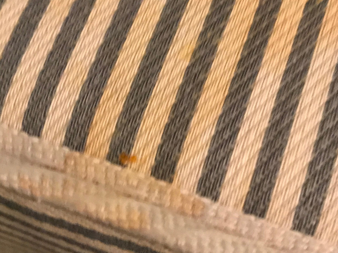 Denison Inn & Suites主图