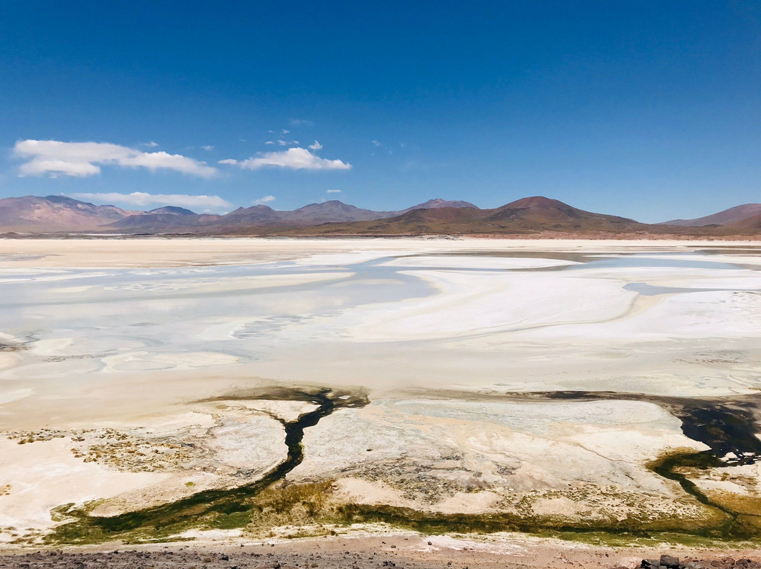 Laguna de Piedras景点图片
