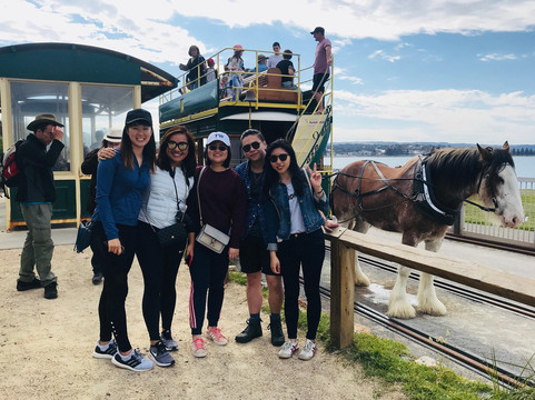 Adelaide Driving Tour-阿德莱德必去景点