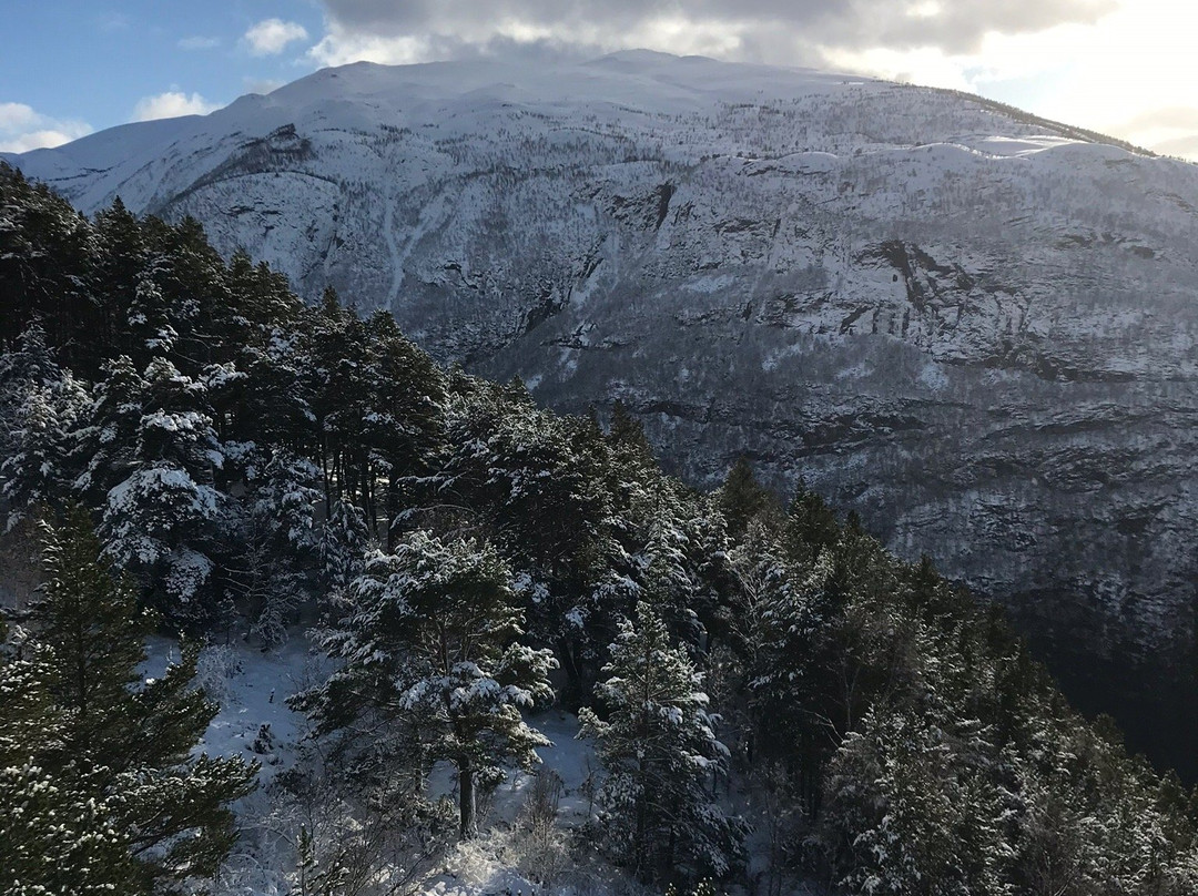 Fjordrive Tours AS-卑尔根必去景点