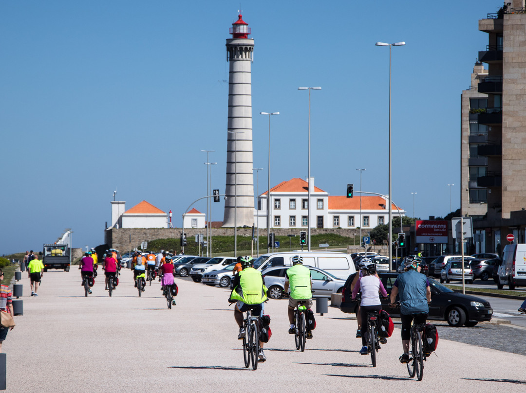 Top Bike Tours Portugal-波尔图必去景点