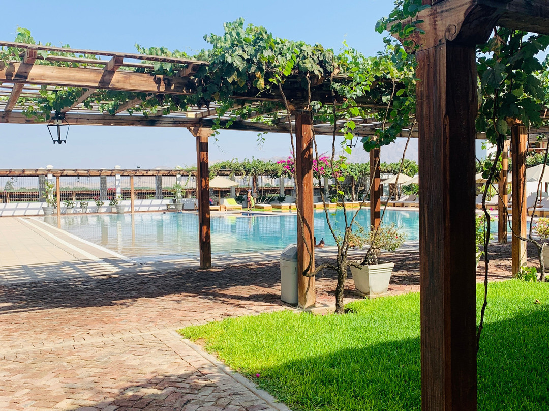 Hotel Viñas Queirolo主图