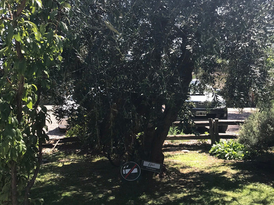 Olivícola Boutique Pasrai-Maipu必去景点