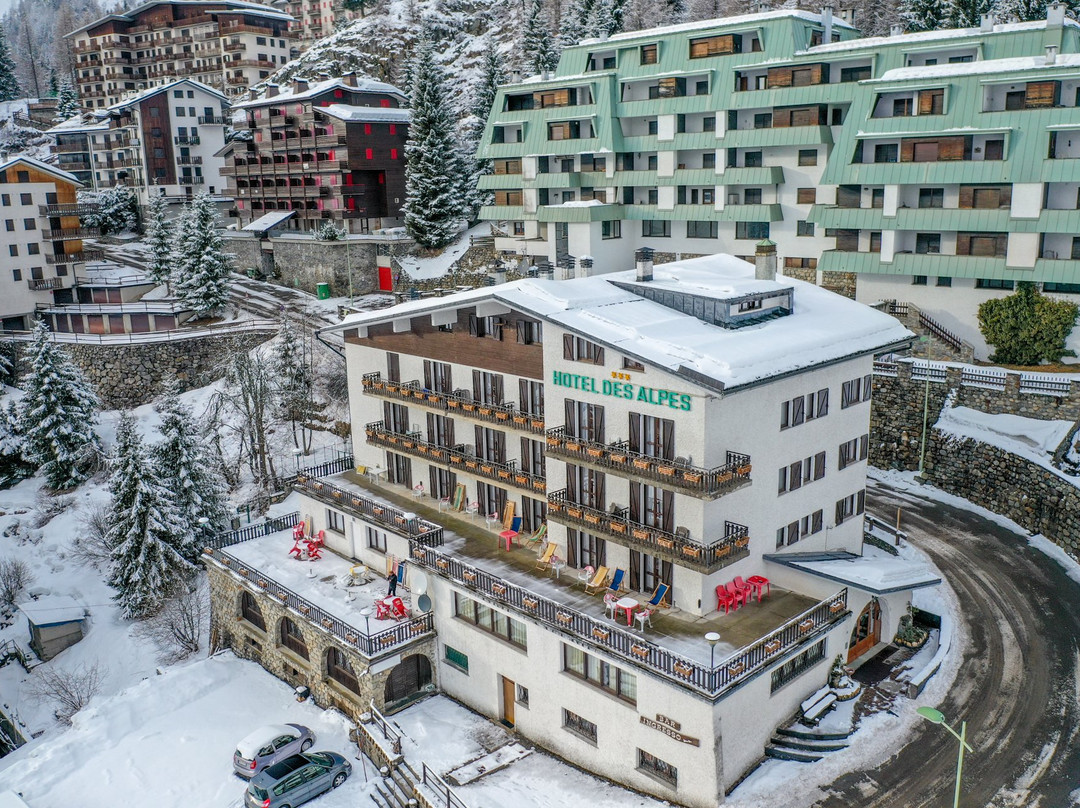 Hotel Des Alpes主图