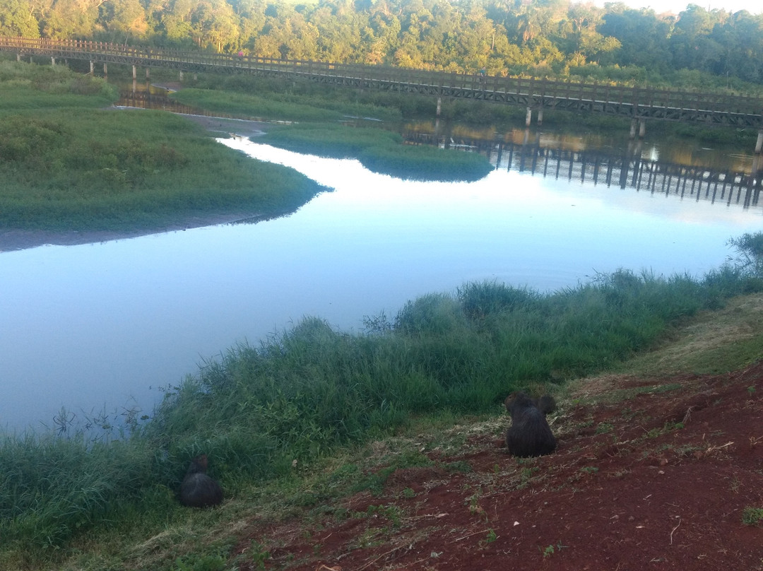 Parque do Lago景点图片