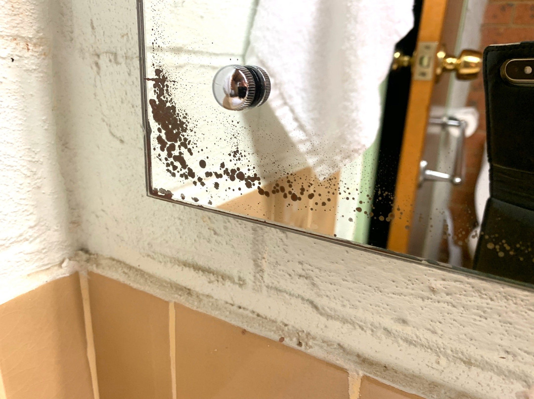 Alexandra Motor Inn主图