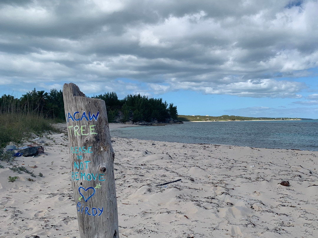 Twin Sisters Beach-Gregory Town必去景点
