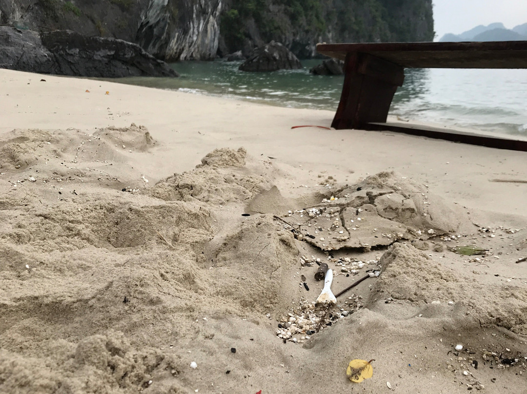 Castaway Island-下龙湾必去景点