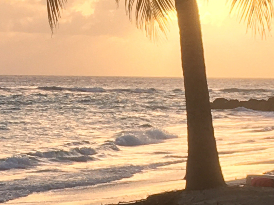 Crystal Waters Bar-Worthing必去景点