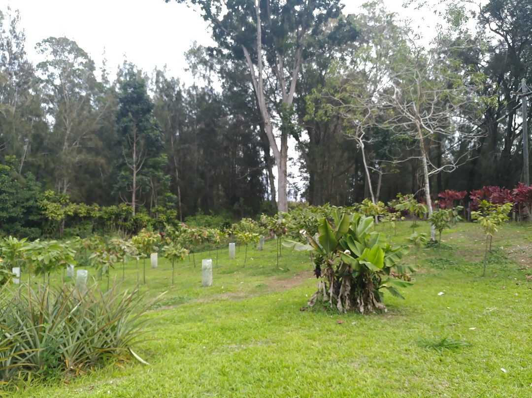 Kahi Ola Mau Farm景点图片