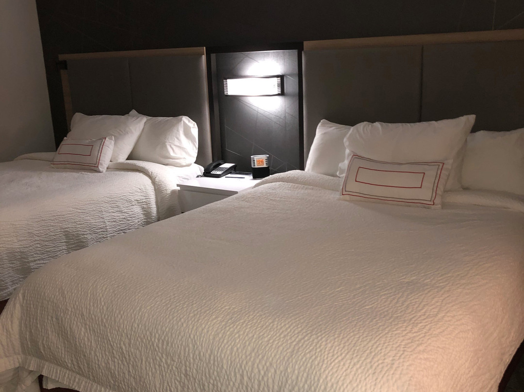 SpringHill Suites by Marriott Indianapolis Airport/Plainfield主图