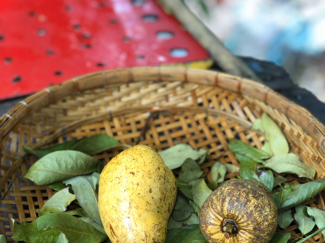 Snakehead Flying Fish-芹苴必去景点