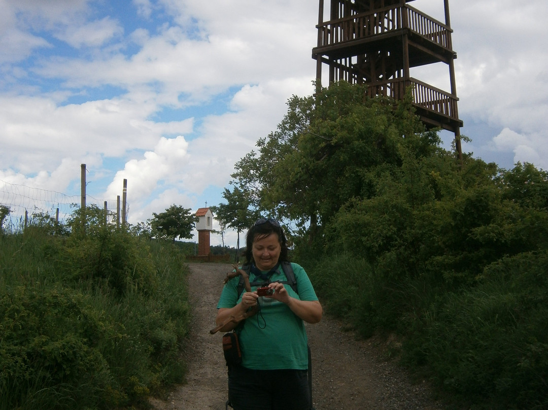 Lookout Mountain Cow-Boretice必去景点