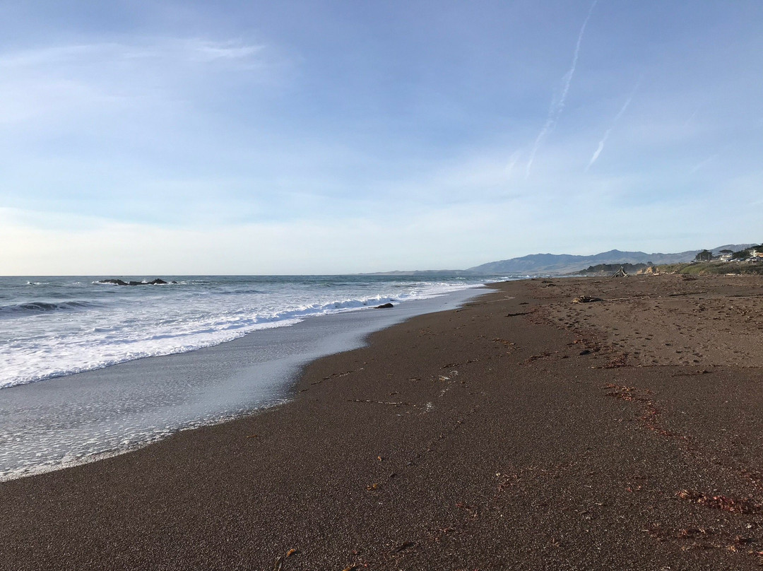 Shamel Park-坎布里亚必去景点
