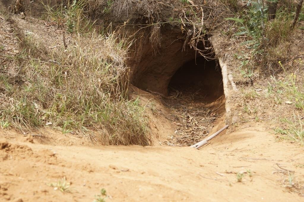 Berrima River Walk-Berrima必去景点