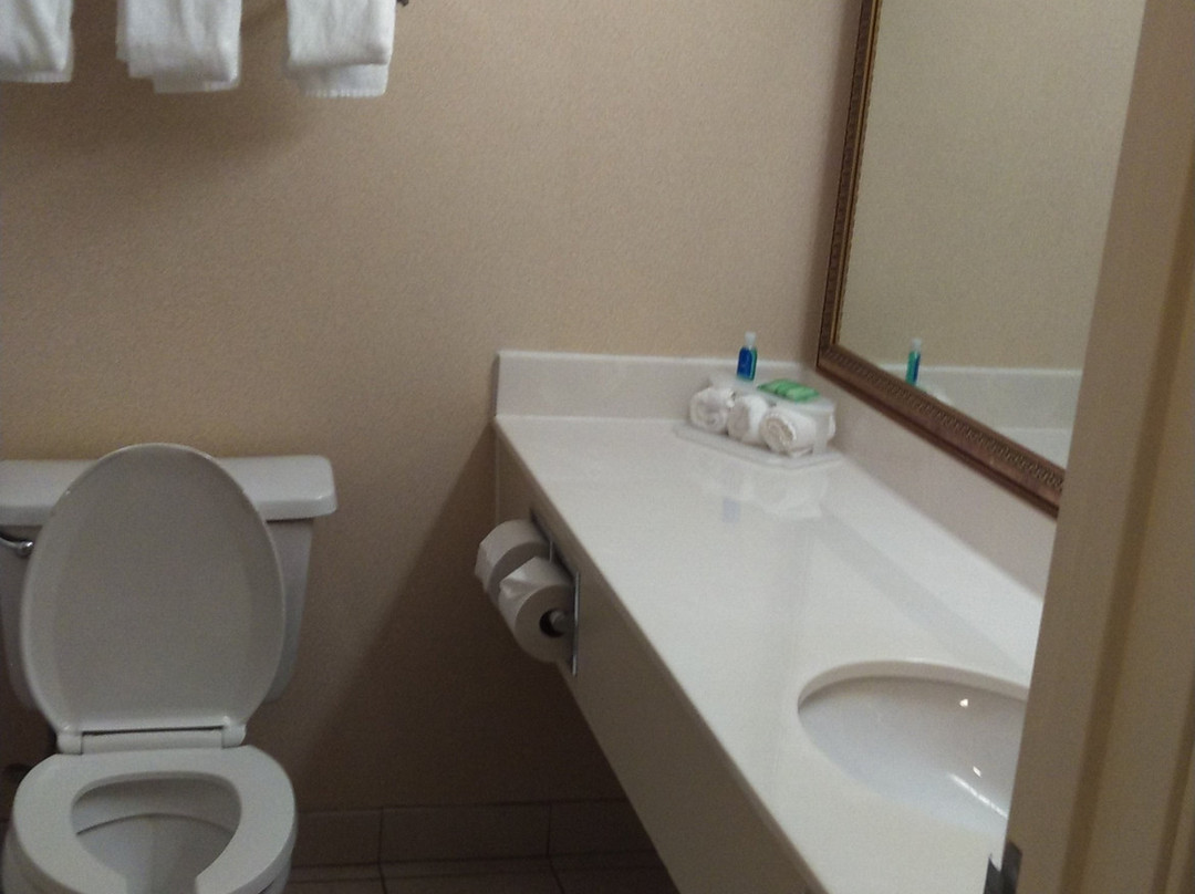 Comfort Inn & Suites主图