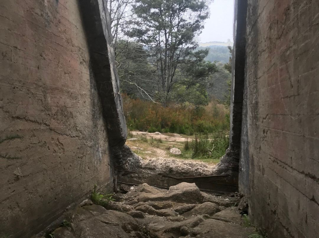 Mt Paris Dam-Branxholm必去景点