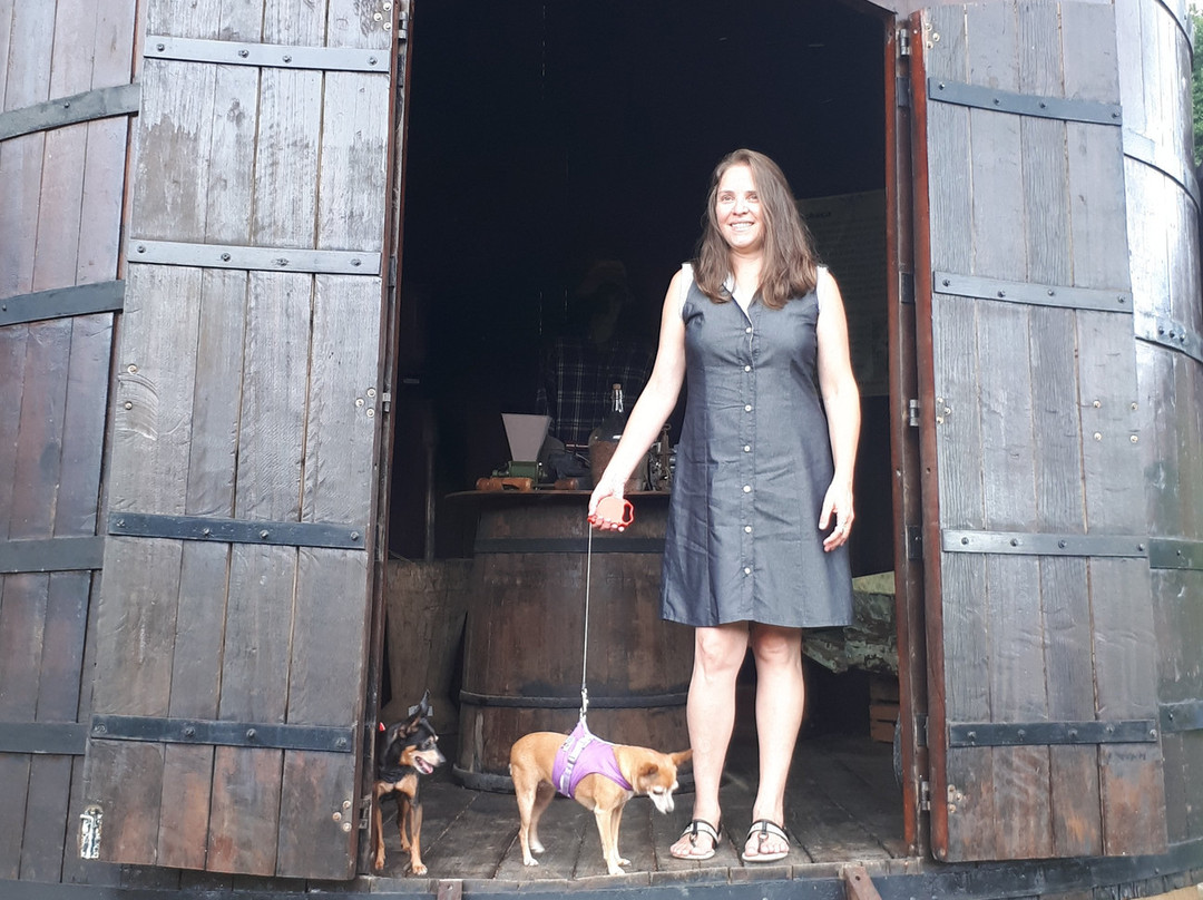 Vinícola Família Silotto-塞拉内格拉必去景点