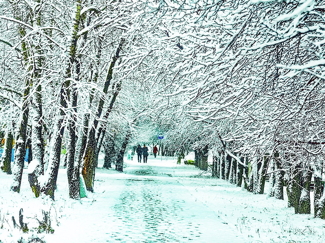 Stroitel Park-Komsomolsk-on-Amur必去景点