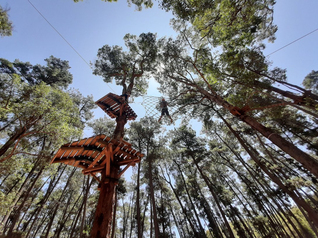 Treetops Adventure Dwellingup景点图片