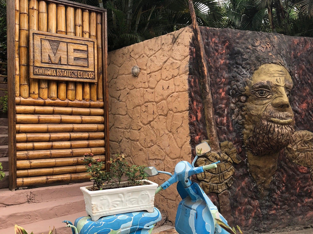 Me Hotel In Montañita Estates主图