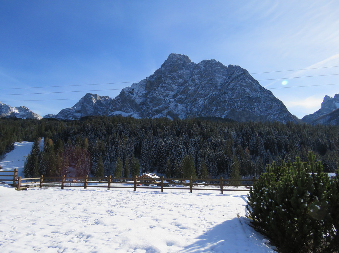 Hotel Haus Michaela主图