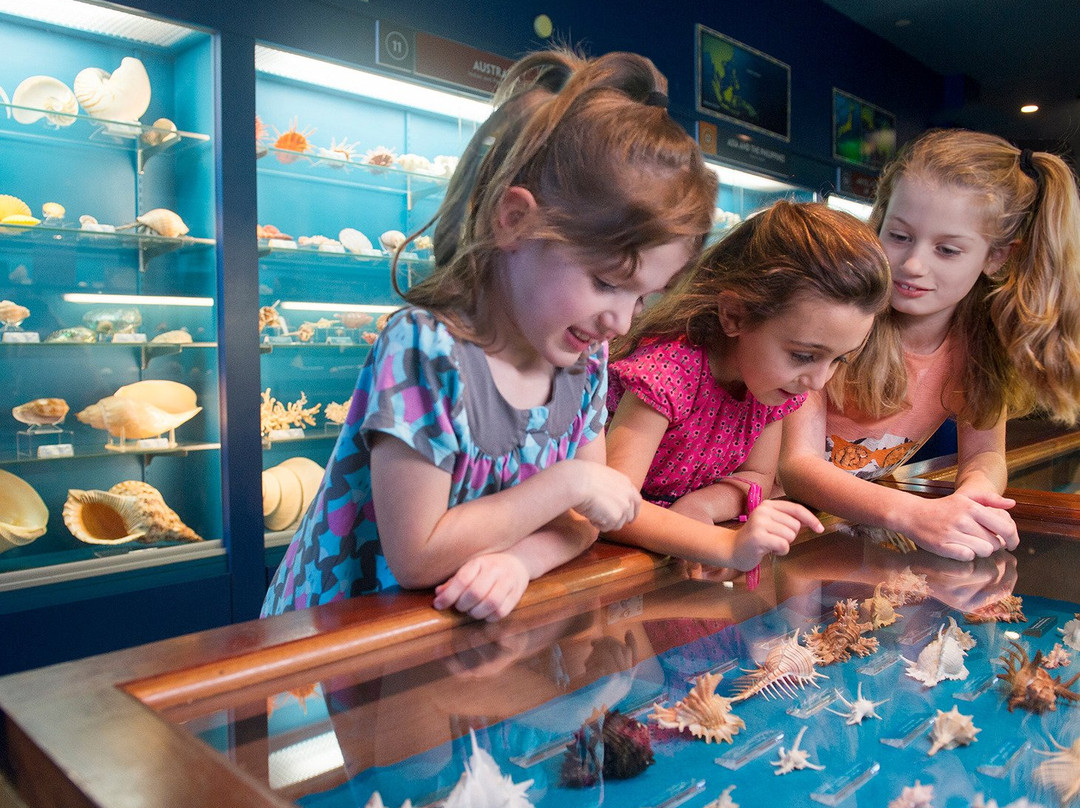 Bermuda Underwater Exploration Institute-汉密尔顿必去景点