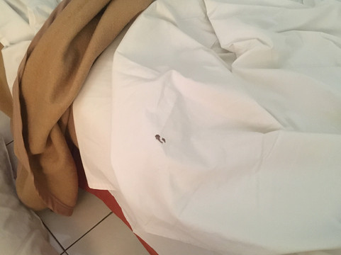 巴都贝丽格酒店主图