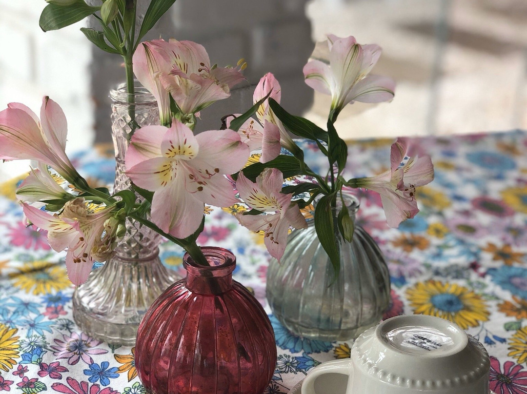 Beach House Exclusive主图