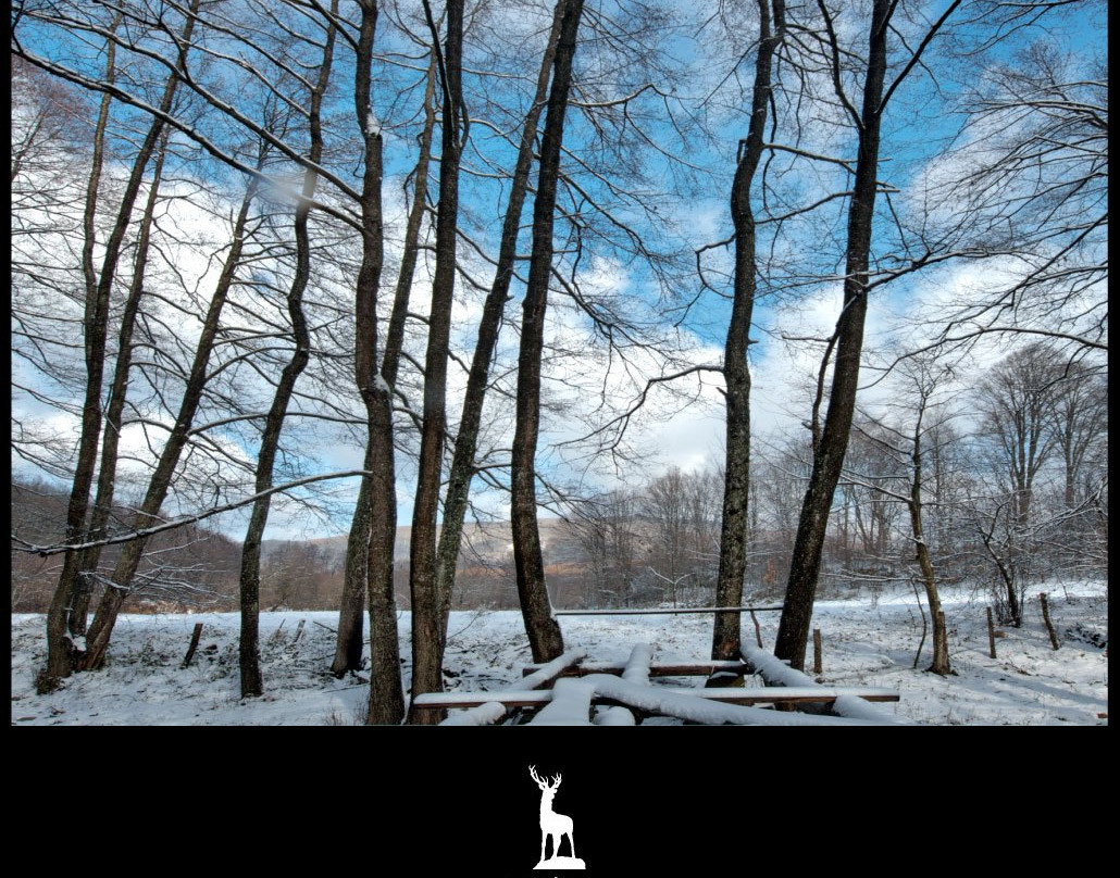 Palivor Ciftligi主图