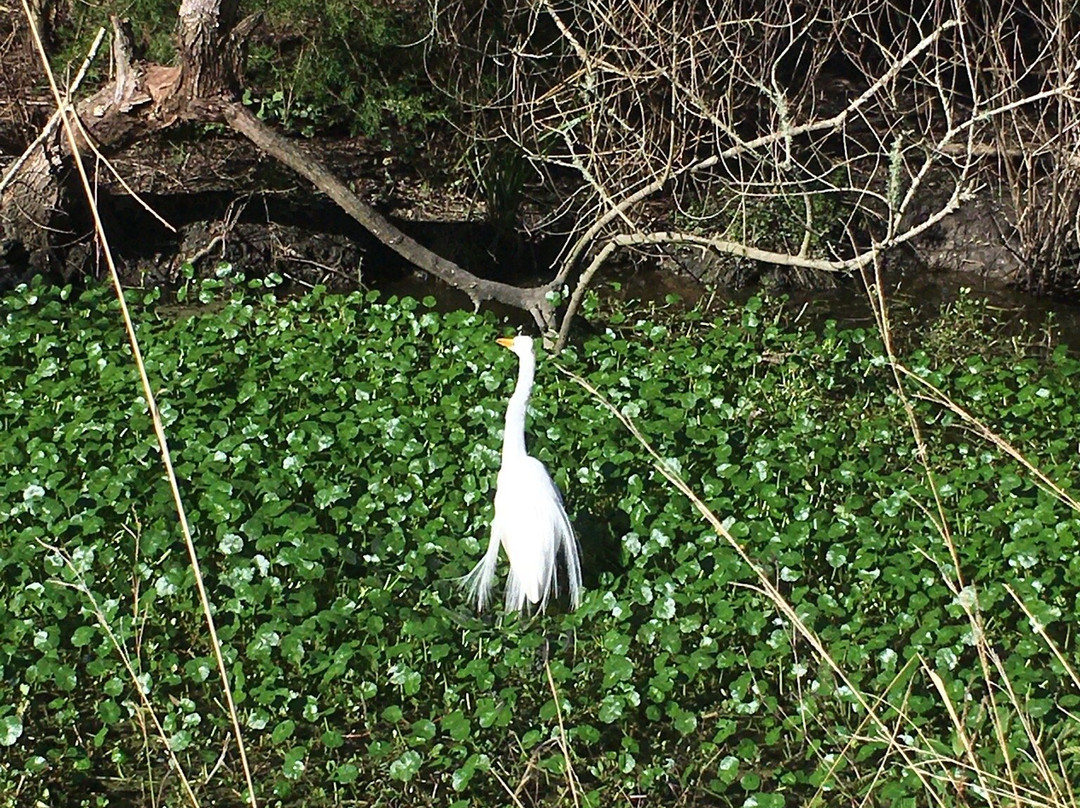 Egan's Creek Greenway-费尔南迪纳岛必去景点